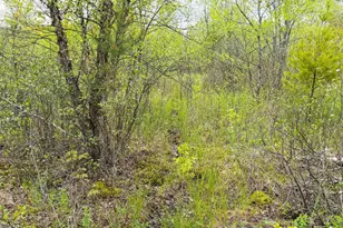 W6253 39th St, New Lisbon, WI 53950 - Photo 73