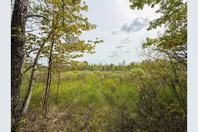 W6253 39th Street, New Lisbon, WI 53950 - Photo 67