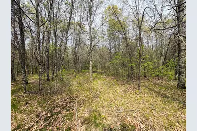 W6253 39th Street, New Lisbon, WI 53950 - Photo 77