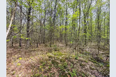 W6253 39th Street, New Lisbon, WI 53950 - Photo 63