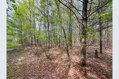 W6253 39th Street, New Lisbon, WI 53950 - Photo 61