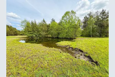 W6253 39th Street, New Lisbon, WI 53950 - Photo 53