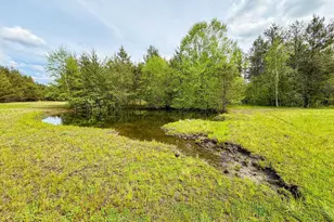W6253 39th St, New Lisbon, WI 53950 - Photo 53