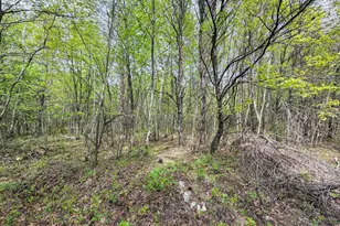 W6253 39th St, New Lisbon, WI 53950 - Photo 65