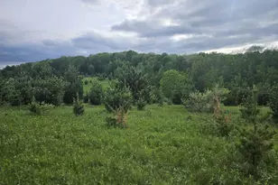 27526 Co Hwy X, Cashton, WI 54619 - Photo 31