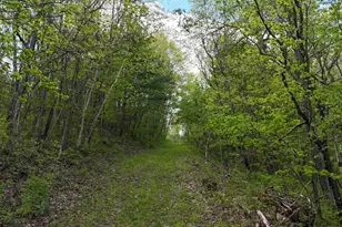 27526 Co Hwy X, Cashton, WI 54619 - Photo 37
