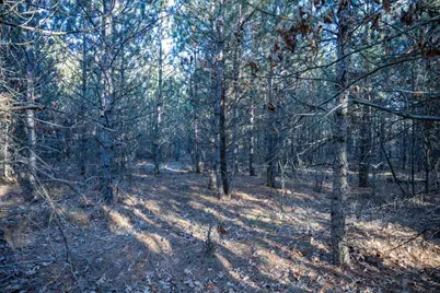 Lot 4 11th Drive, Friendship, WI 53934 - Photo 11