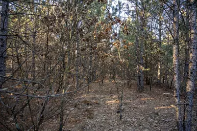 Lot 4 11th Drive, Friendship, WI 53934 - Photo 17