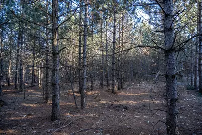 Lot 4 11th Drive, Friendship, WI 53934 - Photo 13