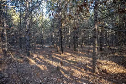 Lot 4 11th Drive, Friendship, WI 53934 - Photo 9