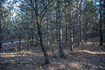 Lot 4 11th Drive, Friendship, WI 53934 - Photo 15