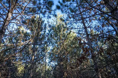 Lot 4 11th Drive, Friendship, WI 53934 - Photo 3