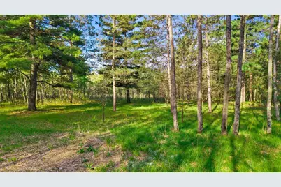 4.4 Ac Mol County Rd Z, Adams, WI 54457 - Photo 21
