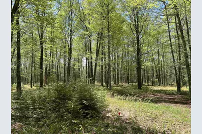 5675 Spider Lake Road, Rhinelander, WI 54501 - Photo 61