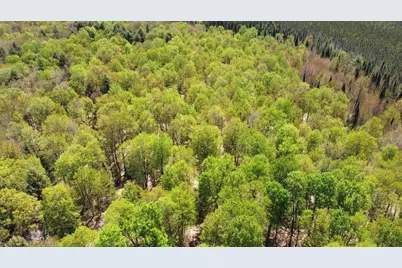5675 Spider Lake Road, Rhinelander, WI 54501 - Photo 67