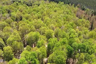 5675 Spider Lake Rd, Rhinelander, WI 54501 - Photo 67
