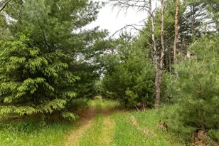 119 Duck Creek Ave, Westfield, WI 53964 - Photo 47