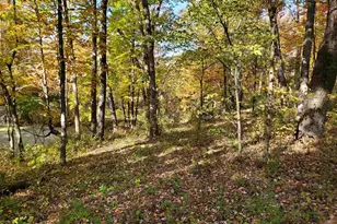 S8295 Dale Rd, Loganville, WI 53943 - Photo 75