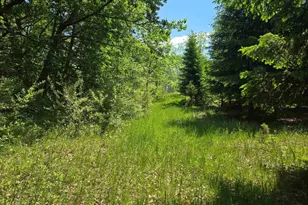 N6219 Sunnyside Rd, Green Lake, WI 54941 - Photo 47