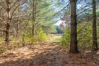 121 Acres County Highway Et, Tomah, WI 54660 - Photo 5