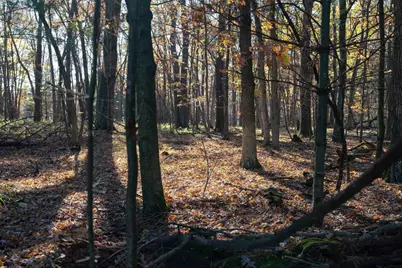 121 Acres County Highway Et, Tomah, WI 54660 - Photo 3