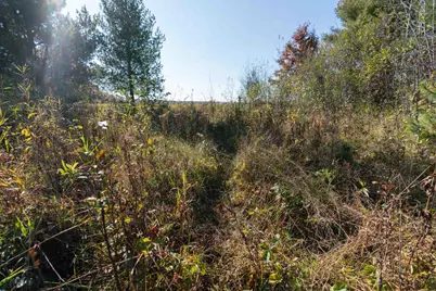 121 Acres County Highway Et, Tomah, WI 54660 - Photo 7