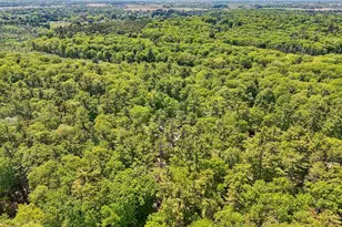329 Timberlake Rd, Wilson, WI 53081 - Photo 49