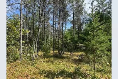 36.34 Ac Retirement Lane, Necedah, WI 54646 - Photo 7