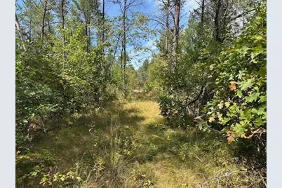 36.34 Ac Retirement Lane, Necedah, WI 54646 - Photo 5