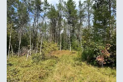 36.34 Ac Retirement Lane, Necedah, WI 54646 - Photo 9