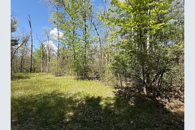 1310 S Cree Drive, Friendship, WI 53934 - Photo 43
