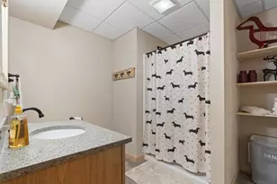 306 Lake Shore Dr, Wisconsin Dells, WI 53965 - Photo 37
