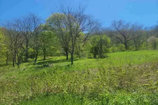 23810 Dove Ln, Hillsboro, WI 54634 - Photo 13