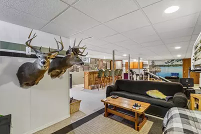 438 Fur Court, Wisconsin Dells, WI 53965 - Photo 39
