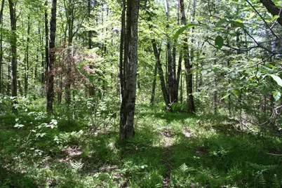 N11465 W Circle Drive, Tripoli, WI 54564 - Photo 23