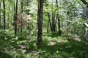 N11465 W Circle Dr, Tripoli, WI 54564 - Photo 23