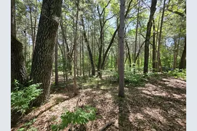 Lot 4 Czech Court, Friendship, WI 53934 - Photo 5