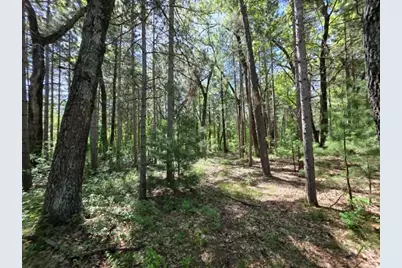 Lot 4 Czech Court, Friendship, WI 53934 - Photo 7