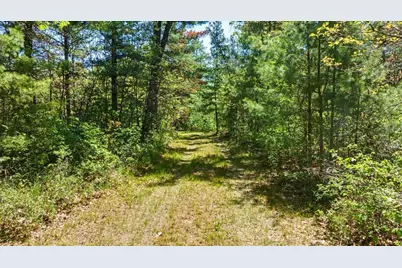 40+/- Acres Highway 13, Friendship, WI 53934 - Photo 9