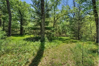 40+/- Acres Highway 13, Friendship, WI 53934 - Photo 23