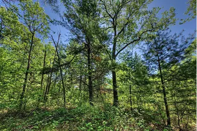 40+/- Acres Highway 13, Friendship, WI 53934 - Photo 19