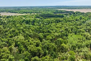 40+/- Acres Hwy 13, Friendship, WI 53934 - Photo 1