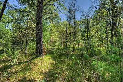 40+/- Acres Highway 13, Friendship, WI 53934 - Photo 37