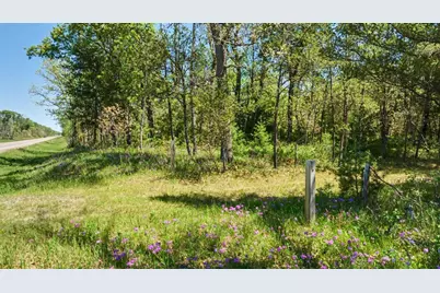 40+/- Acres Highway 13, Friendship, WI 53934 - Photo 5
