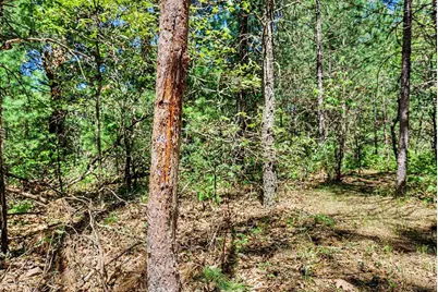 40+/- Acres Highway 13, Friendship, WI 53934 - Photo 33