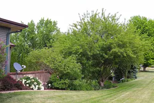 144 24th Ave, Monroe, WI 53566 - Photo 41