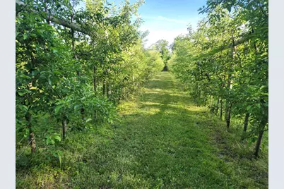 16318 E County Road V Road, Hillsboro, WI 54634 - Photo 3