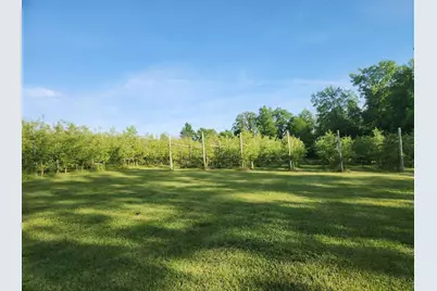 16318 E County Road V Road, Hillsboro, WI 54634 - Photo 1