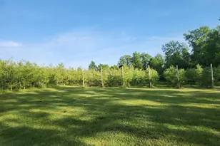 16318 E County Road V Rd, Hillsboro, WI 54634 - Photo 1