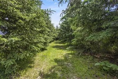 N7166 Forest Ridge Road, Brooklyn, WI 54971 - Photo 61